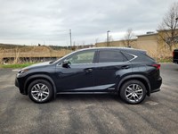 2021 Lexus NX 300h NX 300h AWD