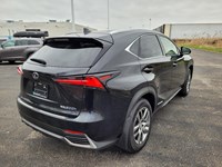 2021 Lexus NX 300h NX 300h AWD