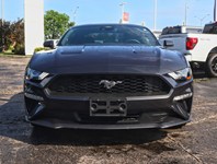 2023 Ford Mustang EcoBoost Premium | 2.3L | 201A | AUTO | NAV | LEAT
