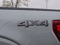 2026 Ford F-150 XLT | 4X4 | 3.5L | 302A | BLK PK PLS | BED UTL