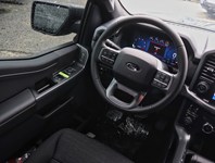 2026 Ford F-150 XLT | 4X4 | 3.5L | 302A | 157 |BLK PK PLS |BED UTL