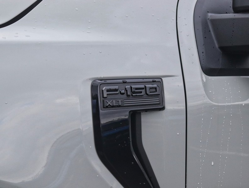 2026 Ford F-150 XLT | 4X4 | 3.5L | 302A | BLK PK PLS | BED UTL