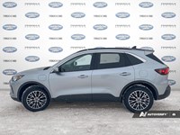 2024 Ford Escape PHEV FWD