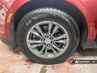 2021 Cadillac XT5 AWD 4dr Premium Luxury