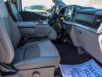 2023 Ford F-150 XLT 4WD SuperCrew 5.5' Box