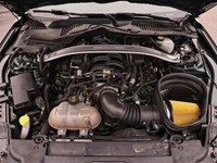 2019 Ford Mustang NO ACCIDENTS | 480 HORSEPOWER | 6 SPEED MANUAL