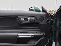 2019 Ford Mustang NO ACCIDENTS | 480 HORSEPOWER | 6 SPEED MANUAL