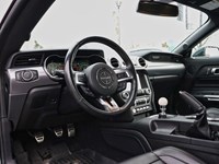 2019 Ford Mustang NO ACCIDENTS | 480 HORSEPOWER | 6 SPEED MANUAL