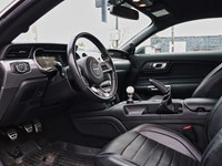 2019 Ford Mustang NO ACCIDENTS | 480 HORSEPOWER | 6 SPEED MANUAL