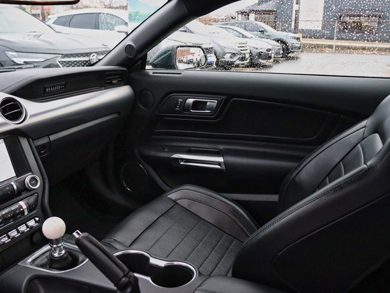 2019 Ford Mustang NO ACCIDENTS | 480 HORSEPOWER | 6 SPEED MANUAL