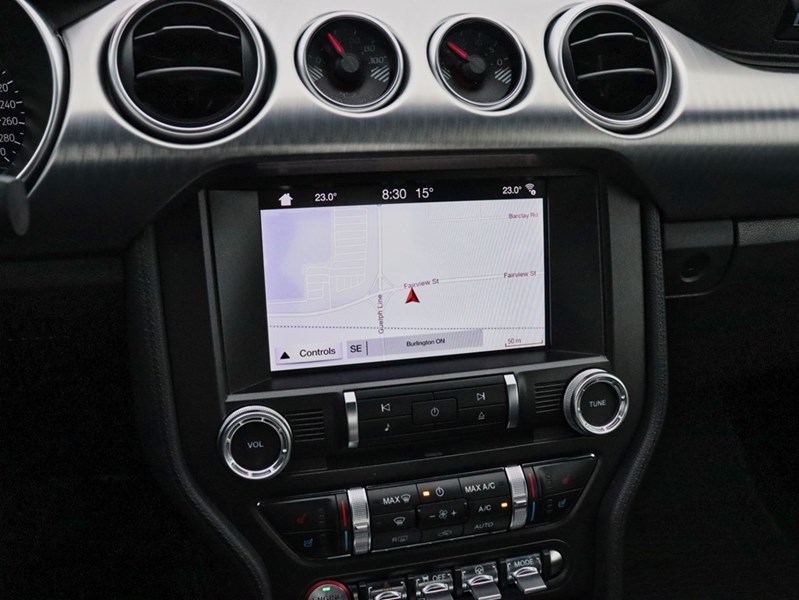 2019 Ford Mustang NO ACCIDENTS | 480 HORSEPOWER | 6 SPEED MANUAL