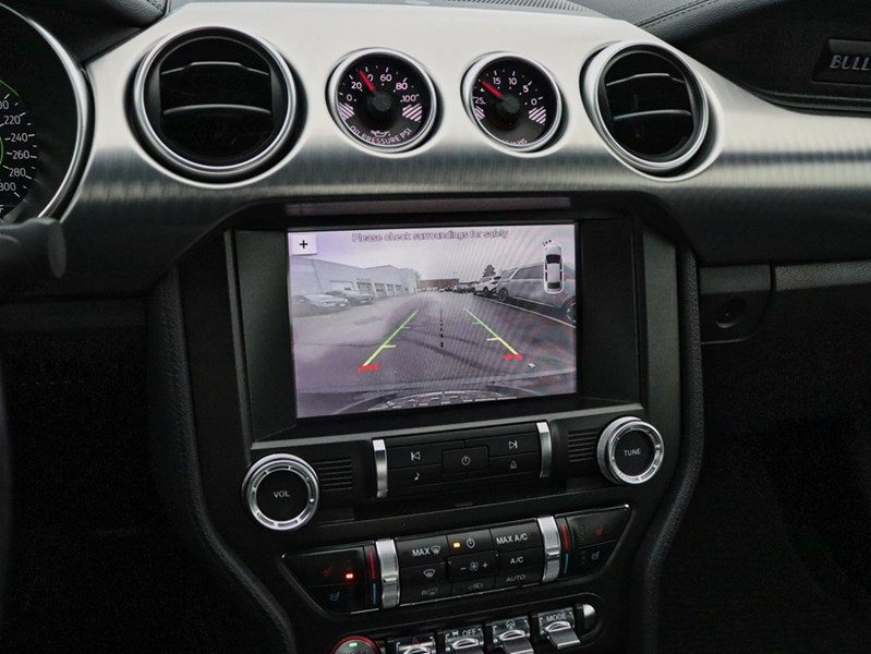 2019 Ford Mustang NO ACCIDENTS | 480 HORSEPOWER | 6 SPEED MANUAL