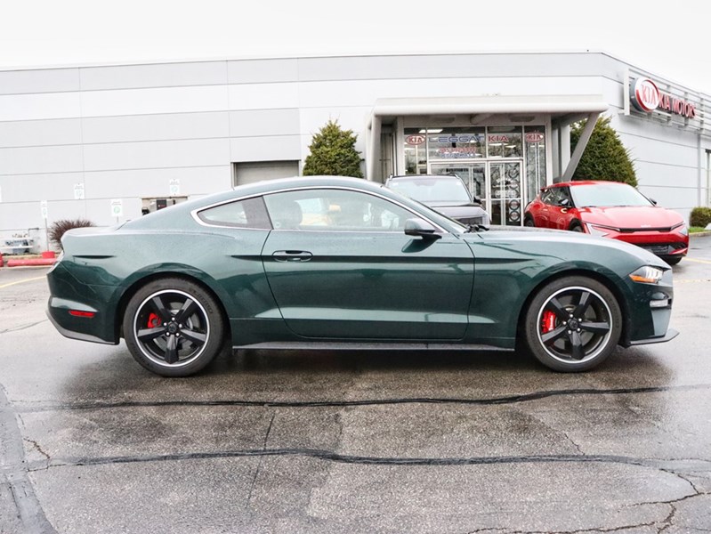 2019 Ford Mustang NO ACCIDENTS | 480 HORSEPOWER | 6 SPEED MANUAL