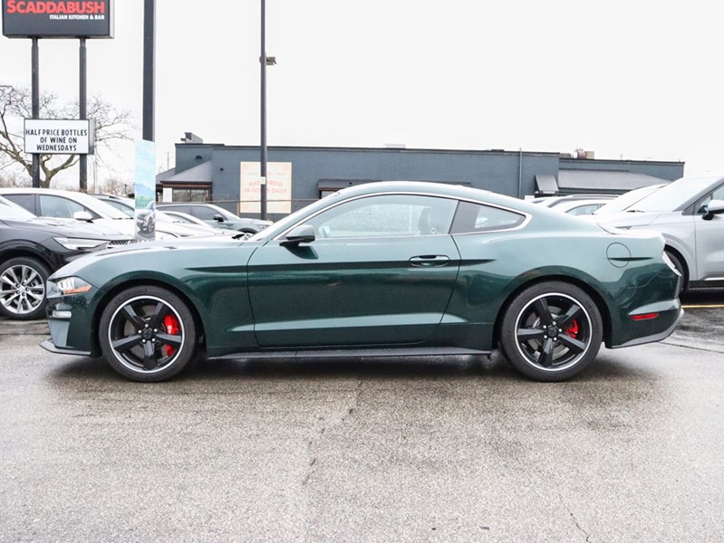 2019 Ford Mustang NO ACCIDENTS | 480 HORSEPOWER | 6 SPEED MANUAL