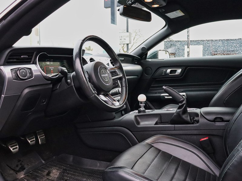 2019 Ford Mustang NO ACCIDENTS | 480 HORSEPOWER | 6 SPEED MANUAL