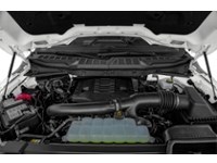 2021 Ford F-150 XLT 4WD SuperCrew 5.5' Box Exterior Shot 3