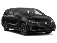2023 Honda Odyssey Black Edition Auto Exterior Shot 8