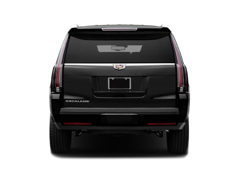 2018 Cadillac Escalade 4WD 4dr Premium Luxury Exterior Shot 8