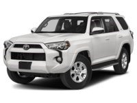 2017 Toyota 4Runner 4WD 4dr V6 SR5 Exterior Shot 1
