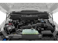 2022 Ford F-150 XLT | 4X4 | 3.3L | TOW | RUN BRDS | TLGT STEP Exterior Shot 3