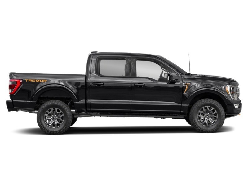 2022 Ford F-150 Tremor | 4X4 | 3.5L | 402A | ROOF | NAV | 360 Exterior Shot 10
