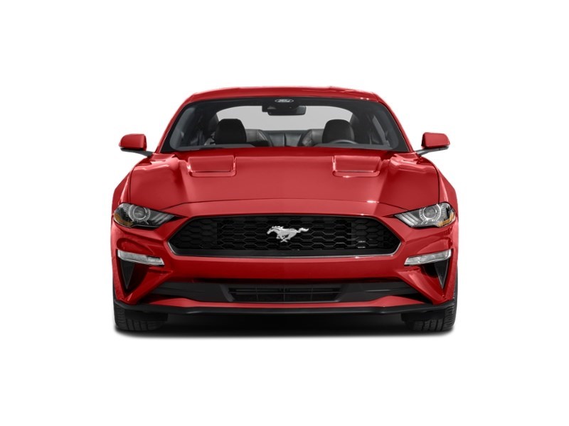 2023 Ford Mustang EcoBoost Premium | 2.3L | 201A | AUTO | NAV | LEAT Exterior Shot 5