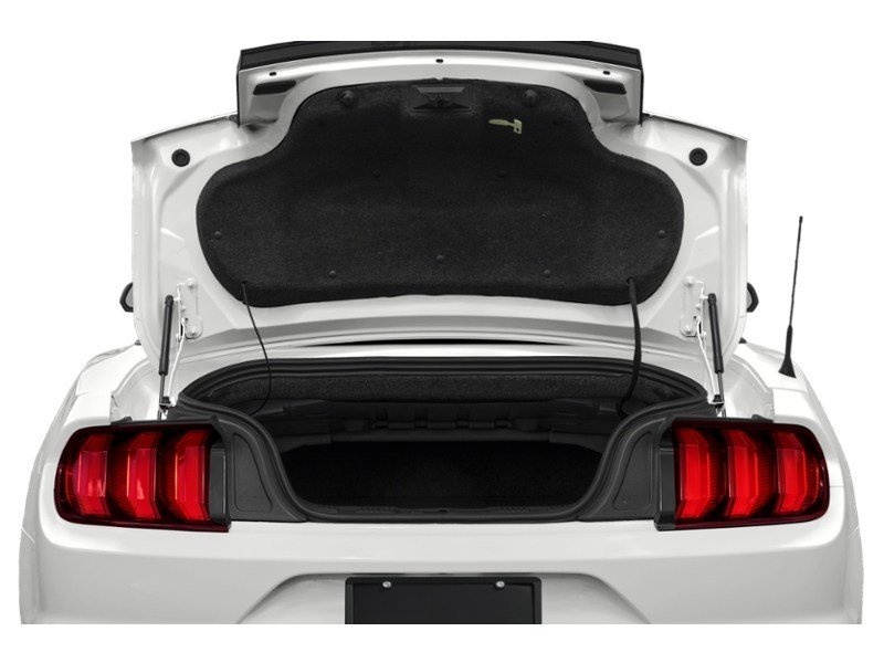 2022 Ford Mustang EcoBoost Convertible Exterior Shot 4