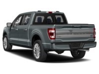 2022 Ford F-150 Limited 4WD SuperCrew 5.5' Box Exterior Shot 9