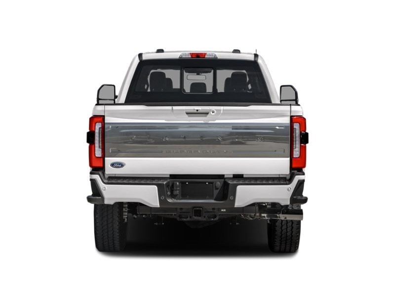 2024 Ford Super Duty F-350 DRW Platinum 4WD Crew Cab 8' Box Exterior Shot 7