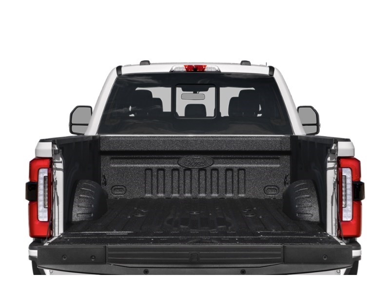 2024 Ford Super Duty F-350 DRW Platinum 4WD Crew Cab 8' Box Exterior Shot 4