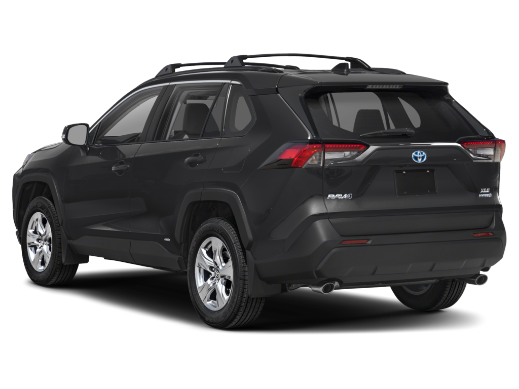 2025 toyota rav4-hybrid Exterior
