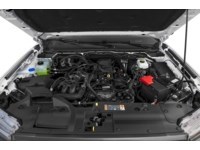 2025 Ford Ranger XLT 4WD SuperCrew 5' Box Exterior Shot 3