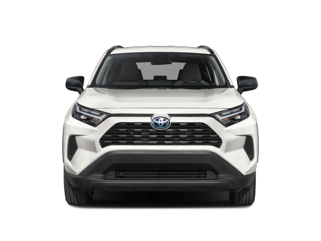 2025 toyota rav4-hybrid Exterior