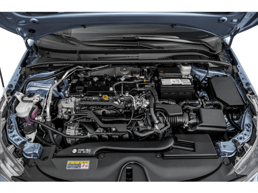 2026 toyota corolla Exterior