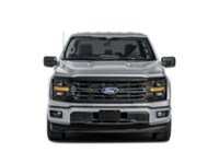 2026 Ford F-150 XLT | 4X4 | 5.0L | 303A | BLK PK PLS | ROOF | BED Exterior Shot 5