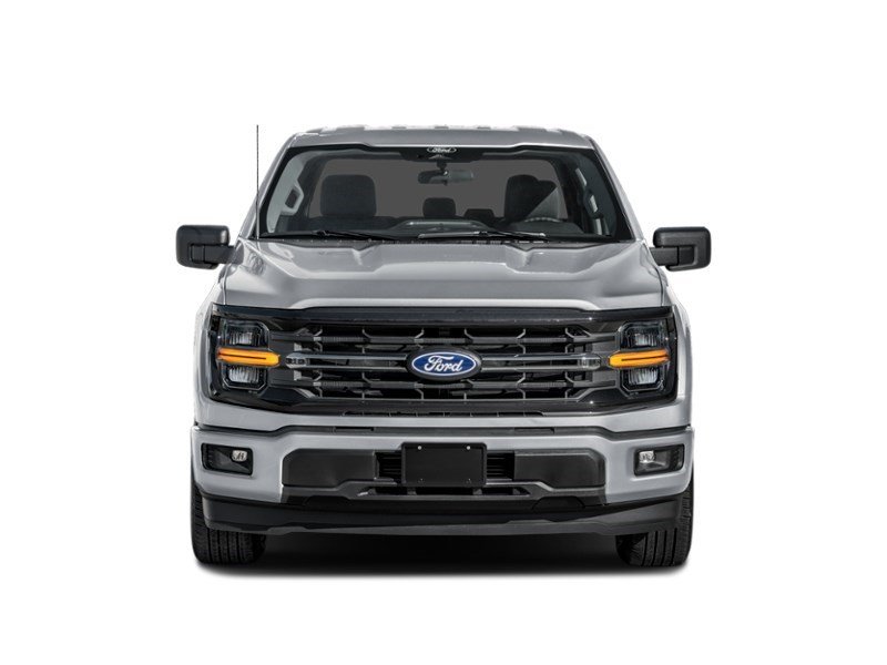 2026 Ford F-150 XLT | 4X4 | 5.0L | 303A | BLK PK PLS | ROOF | BED Exterior Shot 5