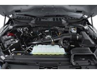 2026 Ford F-150 XLT | 4X4 | 5.0L | 303A | BLK PK PLS | ROOF | BED Exterior Shot 3
