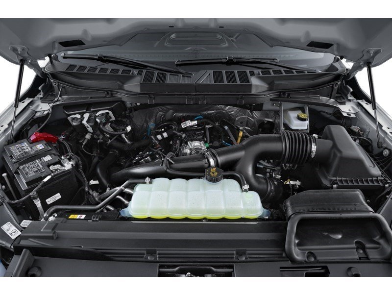2026 Ford F-150 XLT | 4X4 | 5.0L | 303A | BLK PK PLS | ROOF | BED Exterior Shot 3