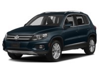 2017 Volkswagen Tiguan 4MOTION 4dr Wolfsburg Edition Night Blue Metallic  Shot 25