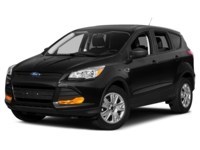 2013 Ford Escape 4WD 4dr SEL Tuxedo Black  Shot 1