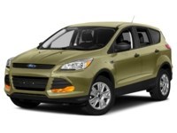 2013 Ford Escape 4WD 4dr SEL Ginger Ale Metallic  Shot 19