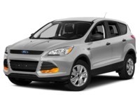 2013 Ford Escape 4WD 4dr SEL Ingot Silver Metallic  Shot 52