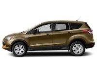2014 Ford Escape FWD 4dr SE Karat Gold  Shot 11