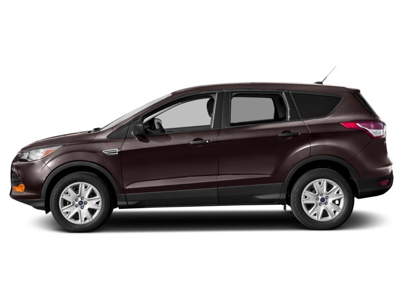 2013 Ford Escape 4WD 4dr SEL Kodiak Brown  Shot 11