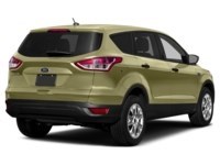 2013 Ford Escape 4WD 4dr SEL Ginger Ale Metallic  Shot 24