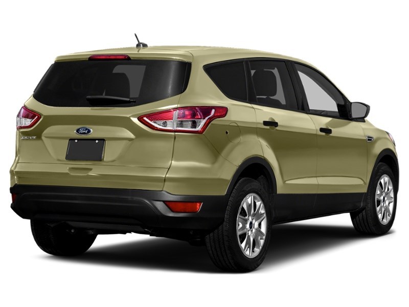 2013 Ford Escape FWD 4dr SE Ginger Ale Metallic  Shot 20