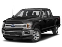 2019 Ford F-150 XLT 4WD SuperCrew 5.5' Box Magnetic  Shot 19