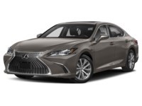 2019 Lexus ES 350 ES 350 Premium Auto Atomic Silver  Shot 1