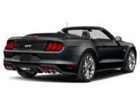 2022 Ford Mustang GT Premium Convertible Shadow Black  Shot 14