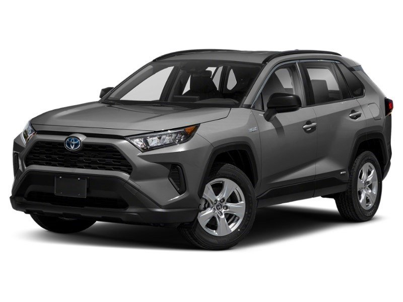 2019 Toyota RAV4 Hybrid AWD Hybrid LE Magnetic Grey Metallic  Shot 1